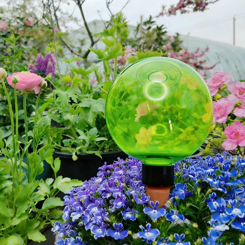 Plant Watering Globe - 3pcs Bola Penyiram Tanaman Besar Plastik,