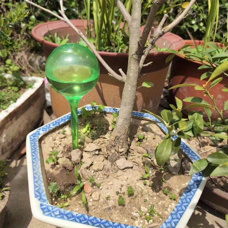 6PCS Bola Penyiram Otomatis un - Plant Watering Globe ulasan dan harga