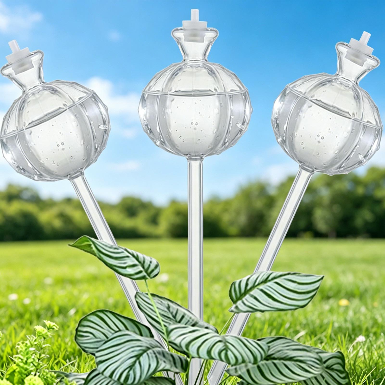 Bola Penyiram Otomatis 3 Buah, - Plant Watering Globe ulasan dan harga