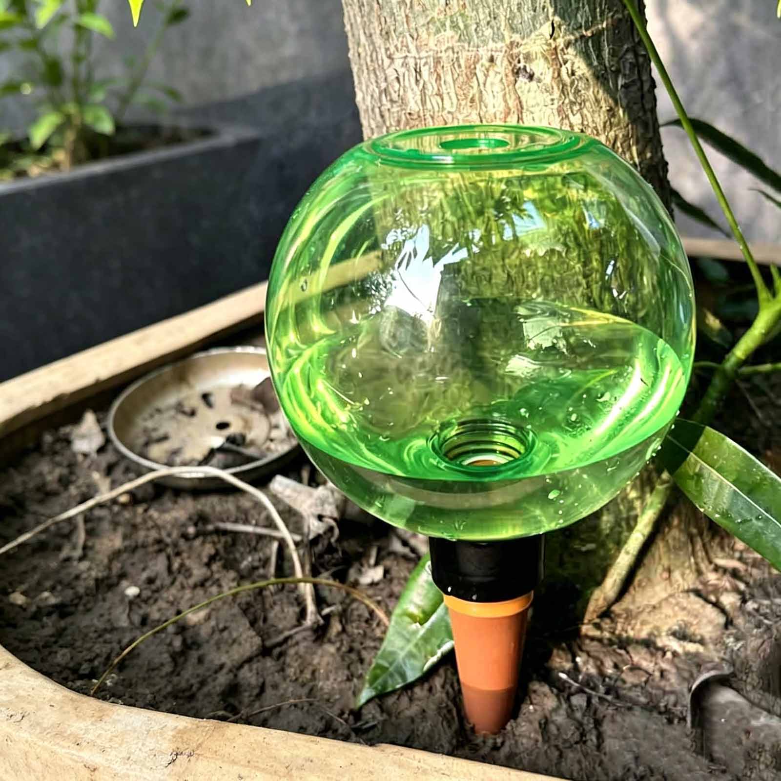 1/4 buah Bola Penyiraman Otoma - Plant Watering Globe ulasan dan harga