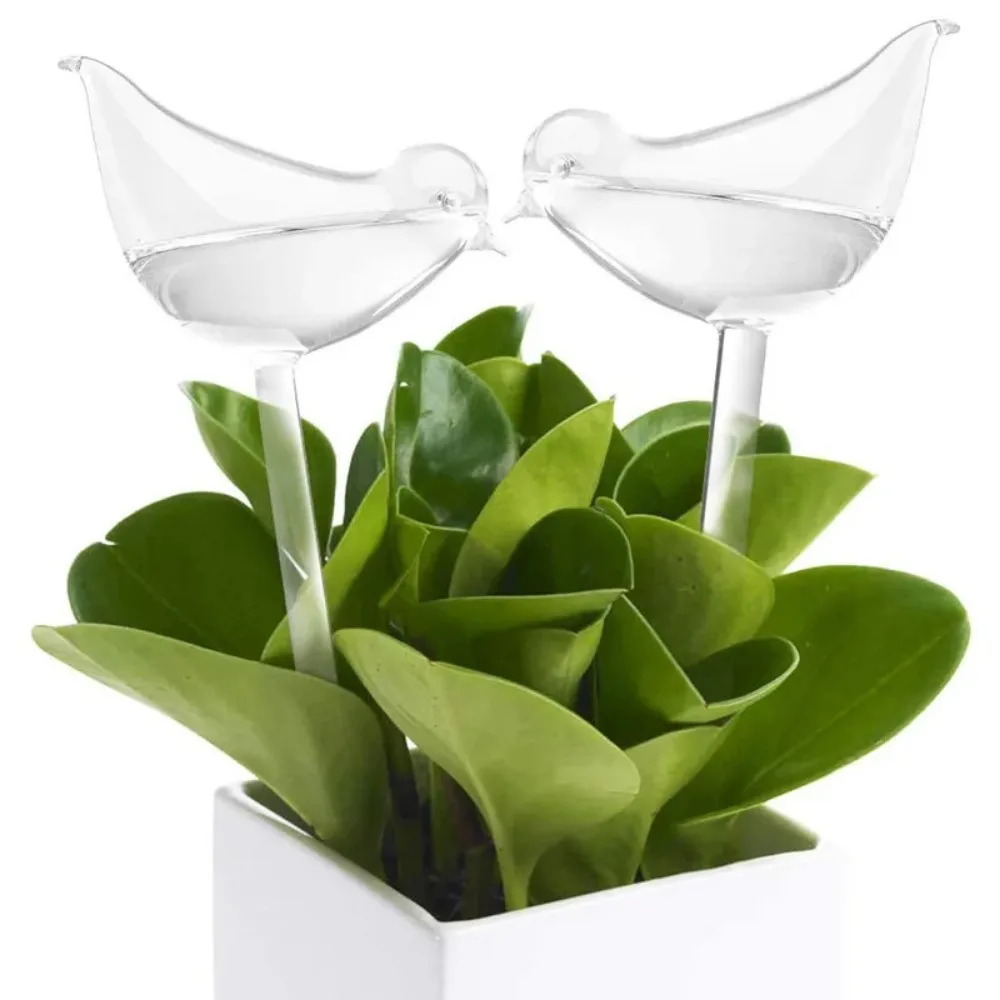 Alat penyiraman bunga otomatis - Plant Watering Globe ulasan dan harga