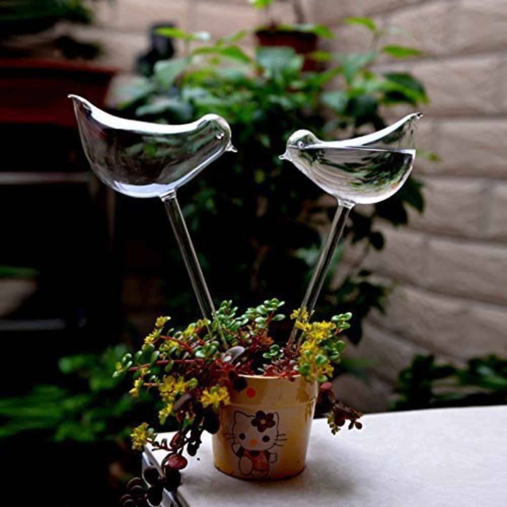 Alat penyiraman bunga otomatis - Plant Watering Globe ulasan dan harga