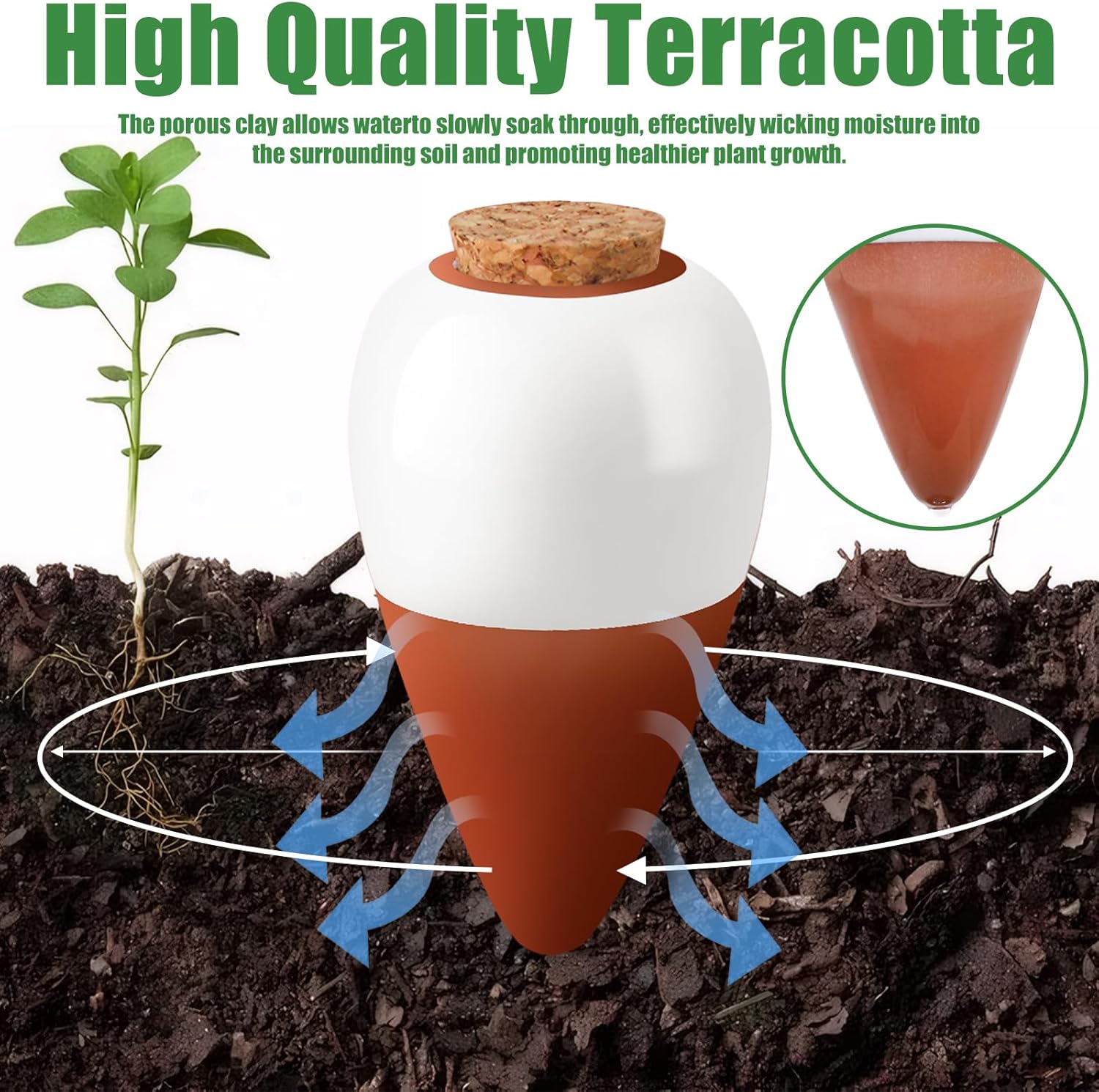 Penetes Air Tanaman dari Terak - Plant Watering Globe ulasan dan harga