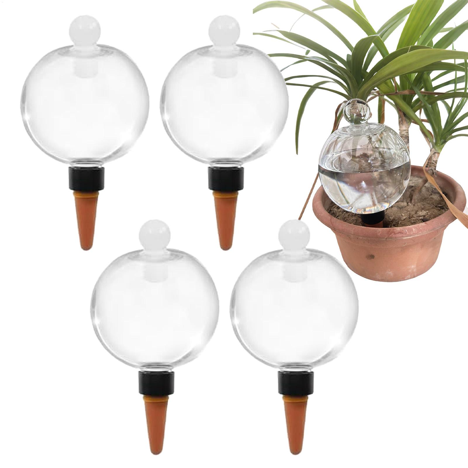 4 Buah Bohlam Penyiraman Tanam - Plant Watering Globe ulasan dan harga