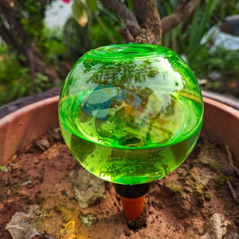 3pcs Bola Penyiram Tanaman Bes - Plant Watering Globe ulasan dan harga