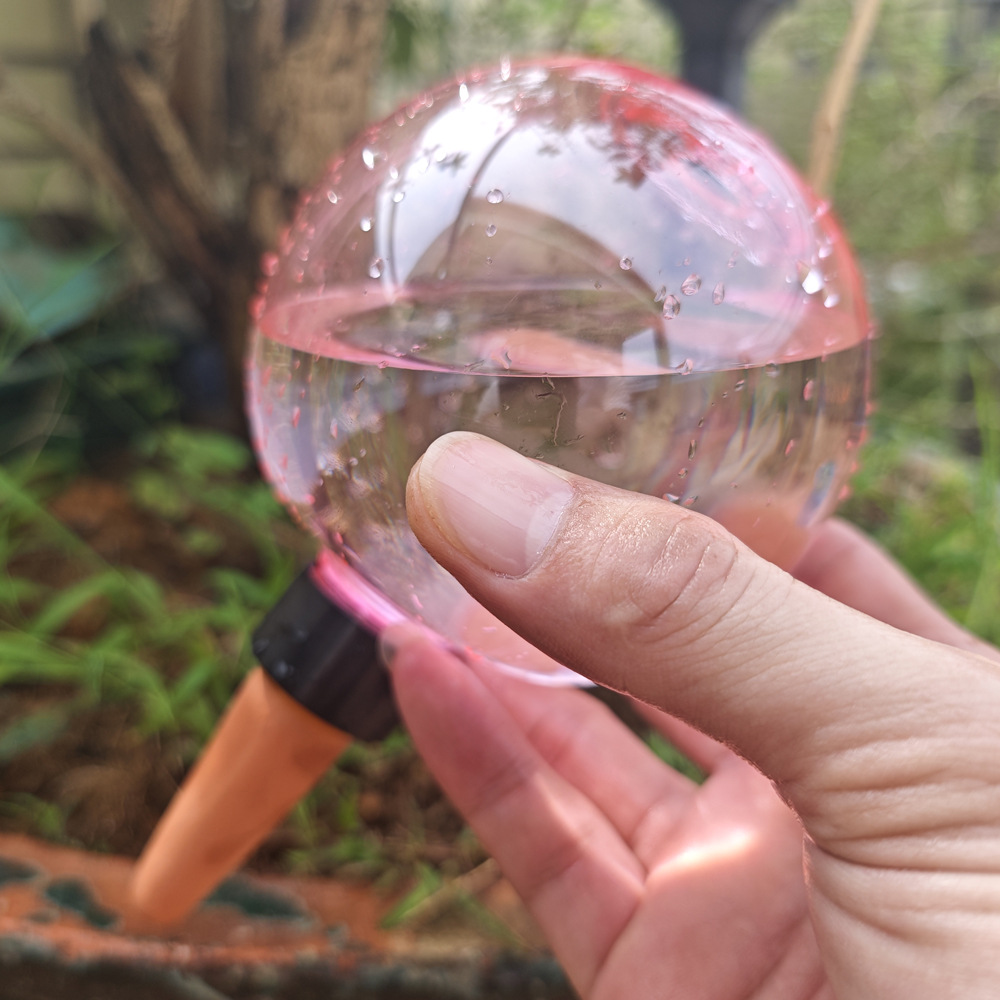 1/4 Buah Bola Penyiraman Otoma - Plant Watering Globe ulasan dan harga
