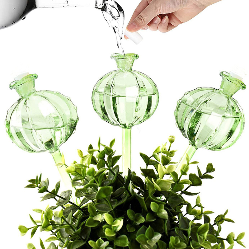 Bola Penyiram Tanaman Otomatis - Plant Watering Globe ulasan dan harga