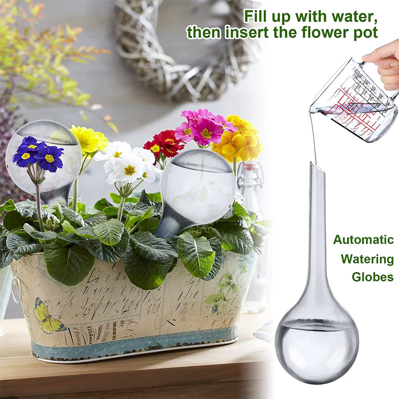 5/10 buah bohlam penyiram tana - Plant Watering Globe ulasan dan harga