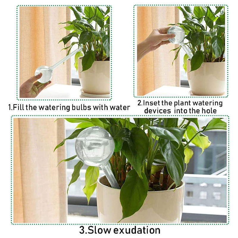 5/10 buah bohlam penyiram tana - Plant Watering Globe ulasan dan harga