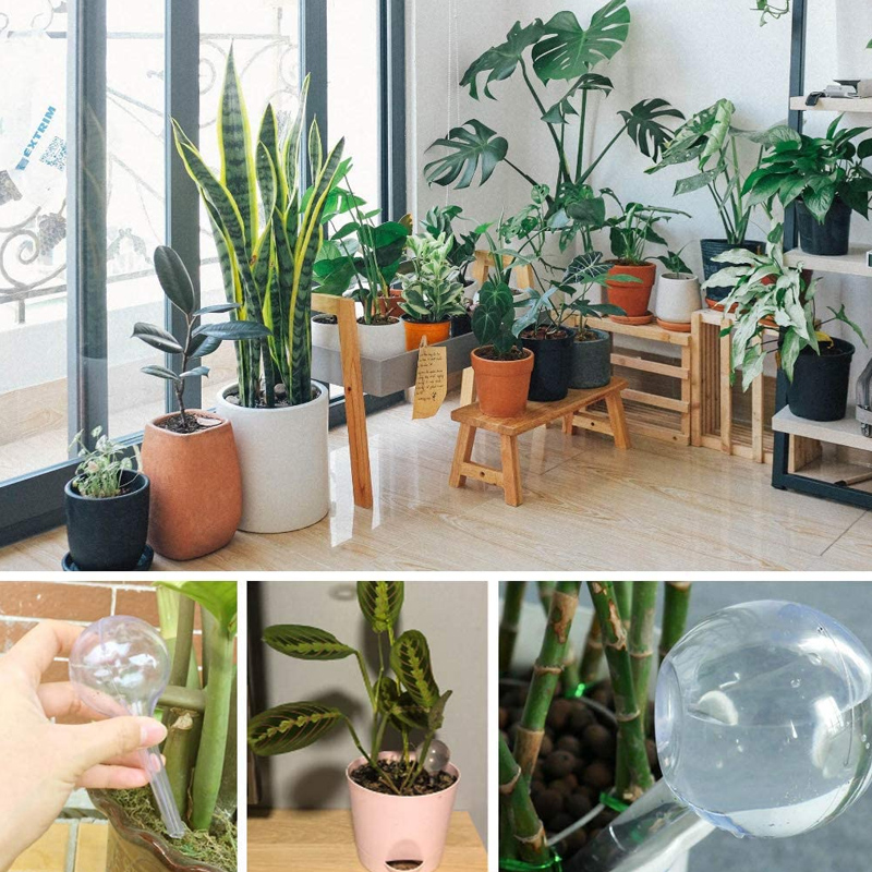 5/10 buah bohlam penyiram tana - Plant Watering Globe ulasan dan harga