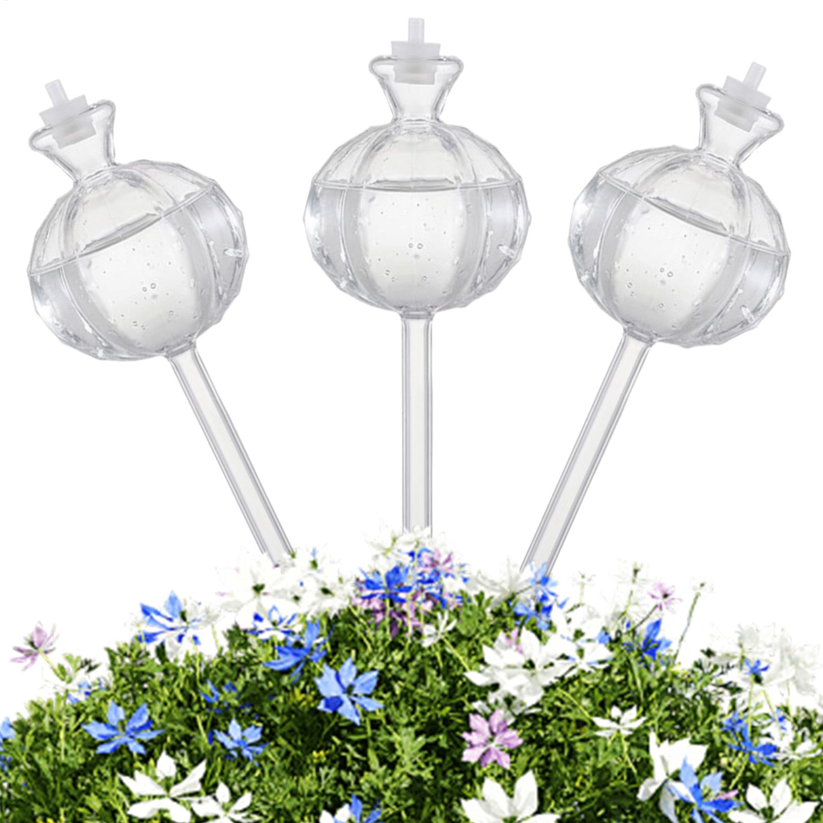 Globe Penyiram Tanaman 3 Buah, - Plant Watering Globe ulasan dan harga